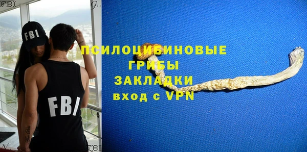 стафф Алексин